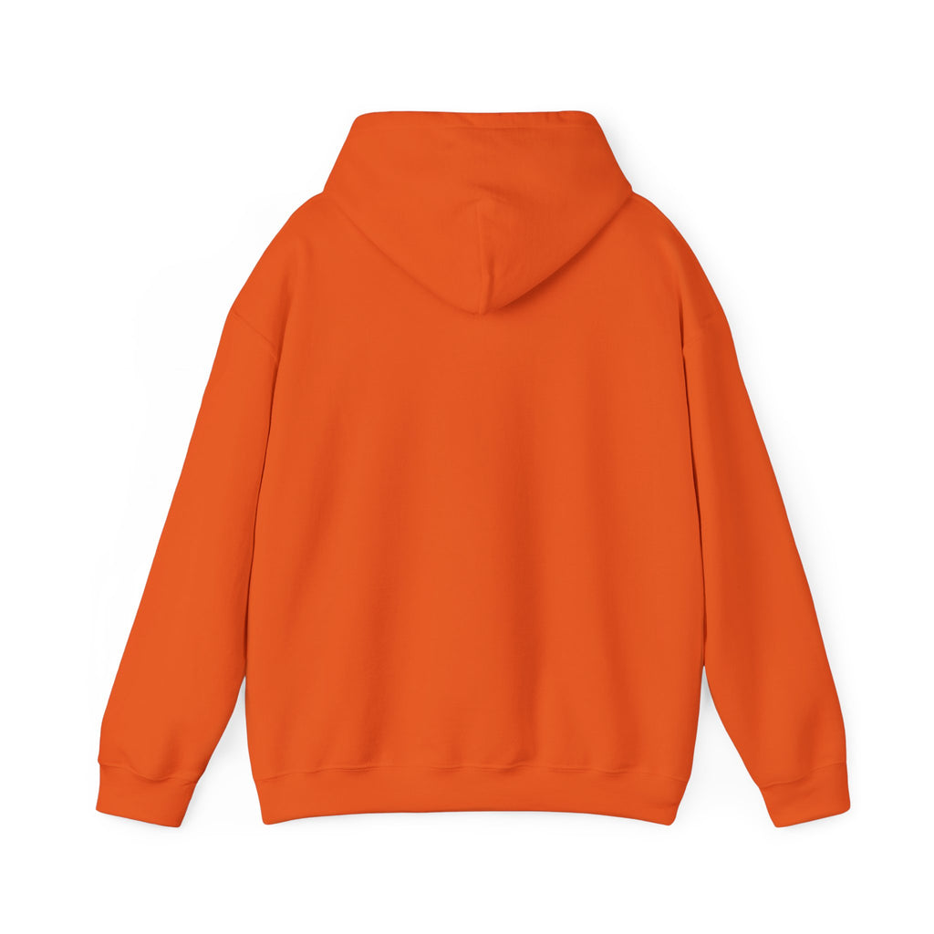 Abide Hoodie - Christian Scripture Sweatshirt (John 15:4)