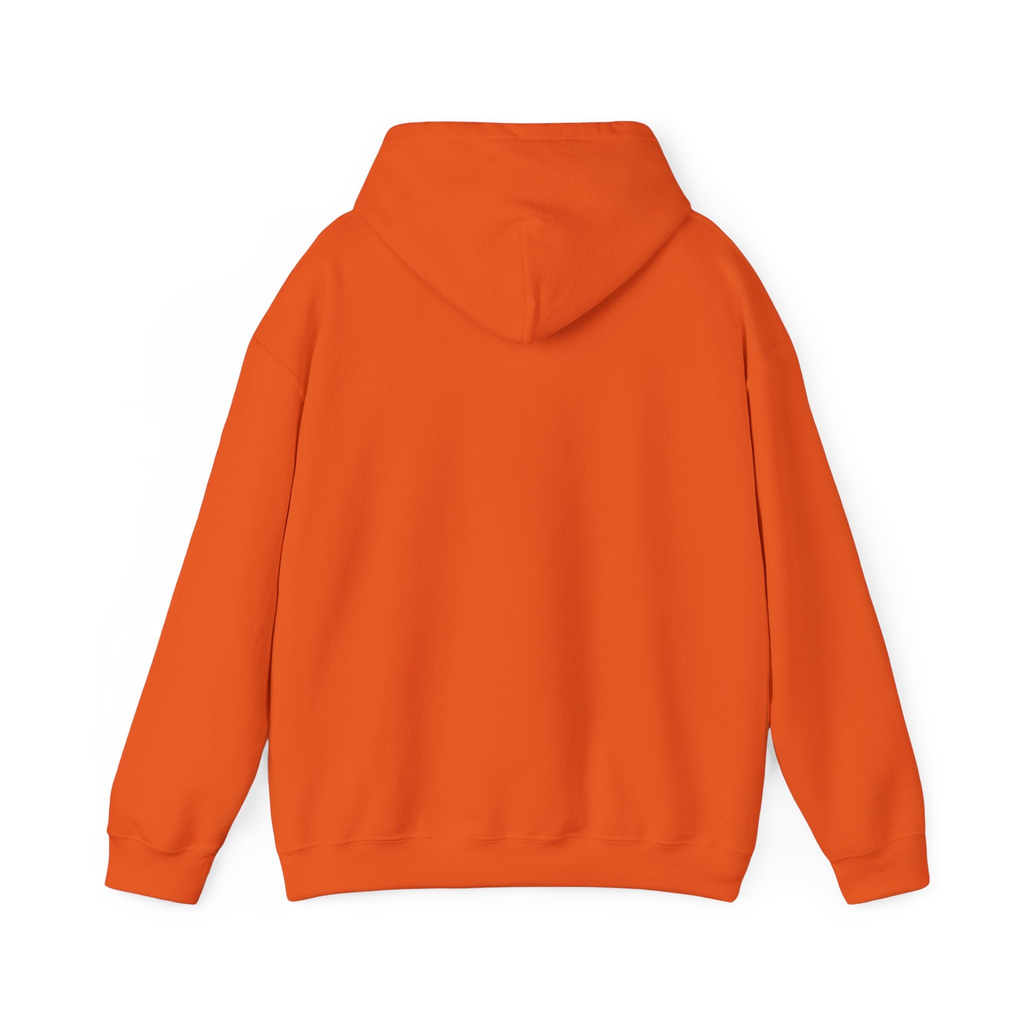 Abide Hoodie - Christian Scripture Sweatshirt (John 15:4)