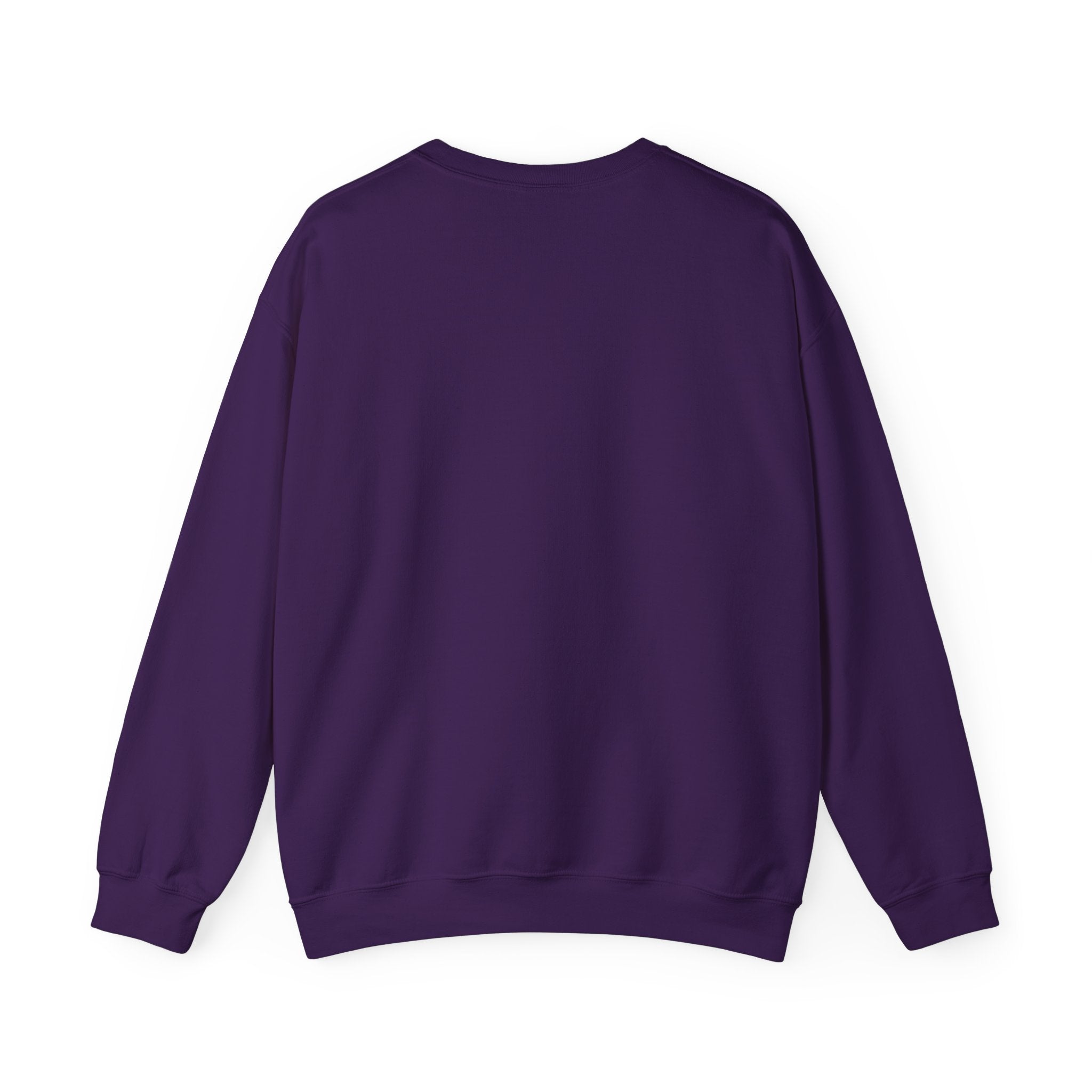 ABIDE Crewneck Sweatshirt