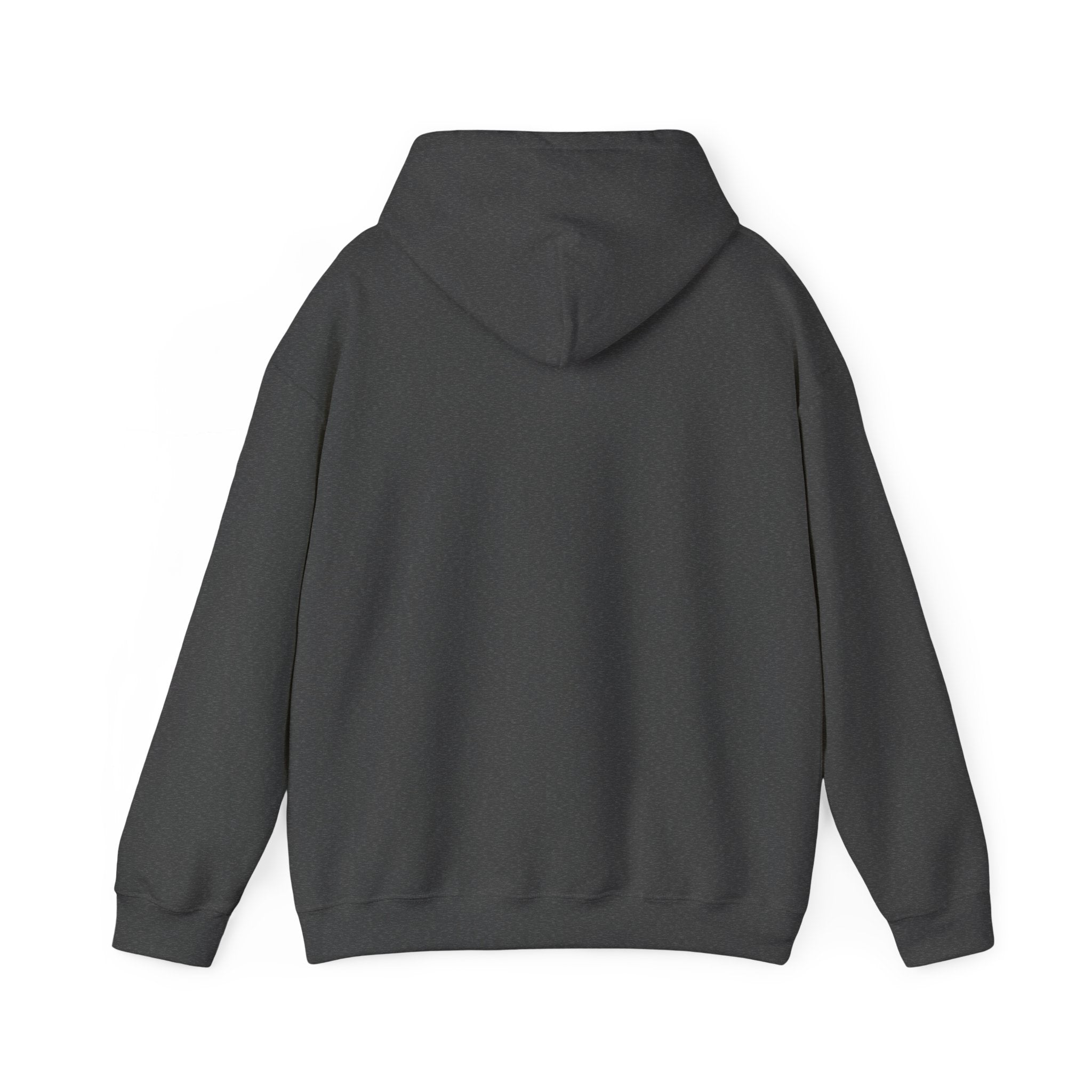 Abide Hoodie - Christian Scripture Sweatshirt (John 15:4)