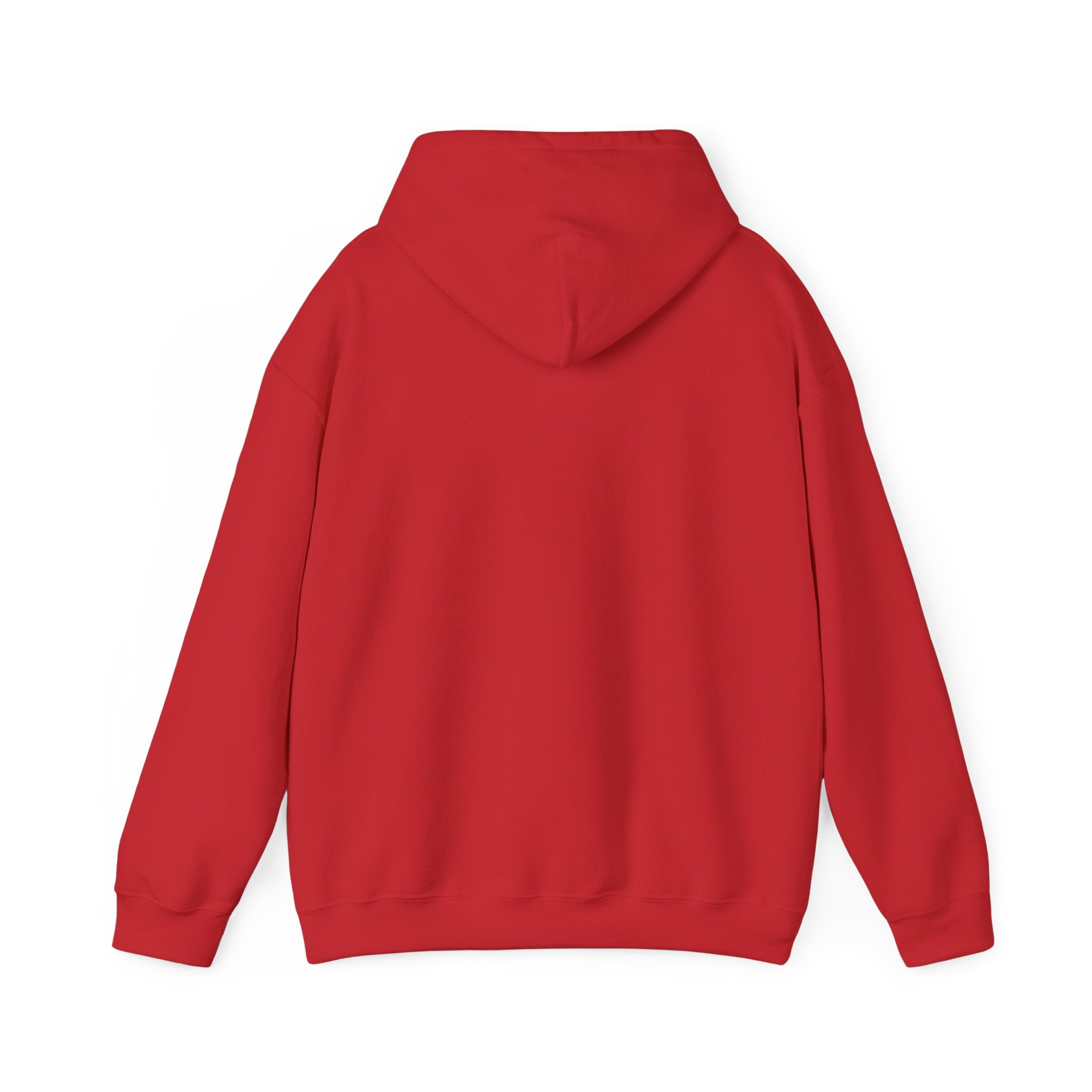 Abide Hoodie - Christian Scripture Sweatshirt (John 15:4)